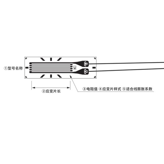 應變片